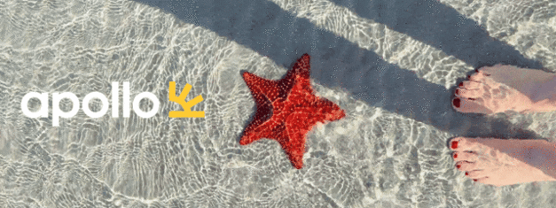 Studierabat__studerende__apollo__rejse__rejser__sommerferie__charter_ferie_rejser_fly_sommerferie_Apollo