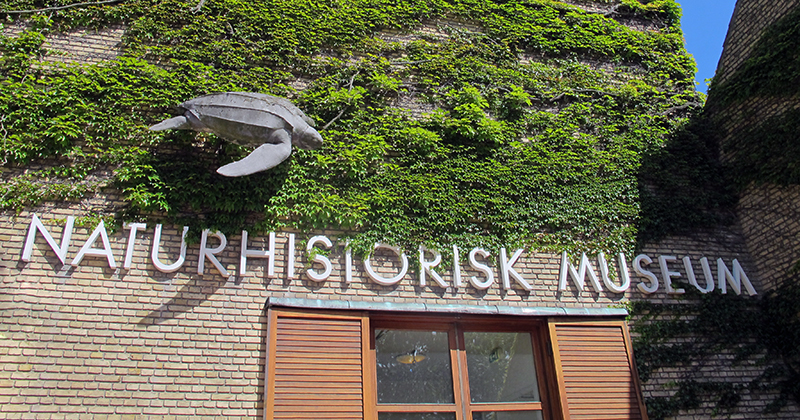 Naturhistorisk museum i aarhus